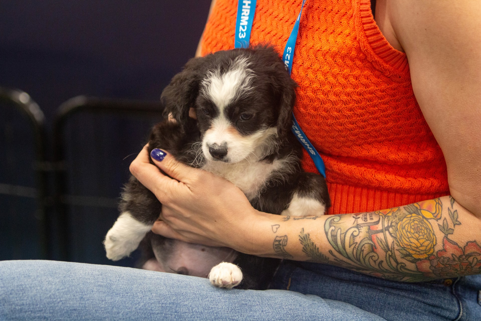 Nora McInerny, an author, podcast host and founder of Feelings & Co., holds spaniel puppy Captain Hook(Mauro Whiteman/SHRM)