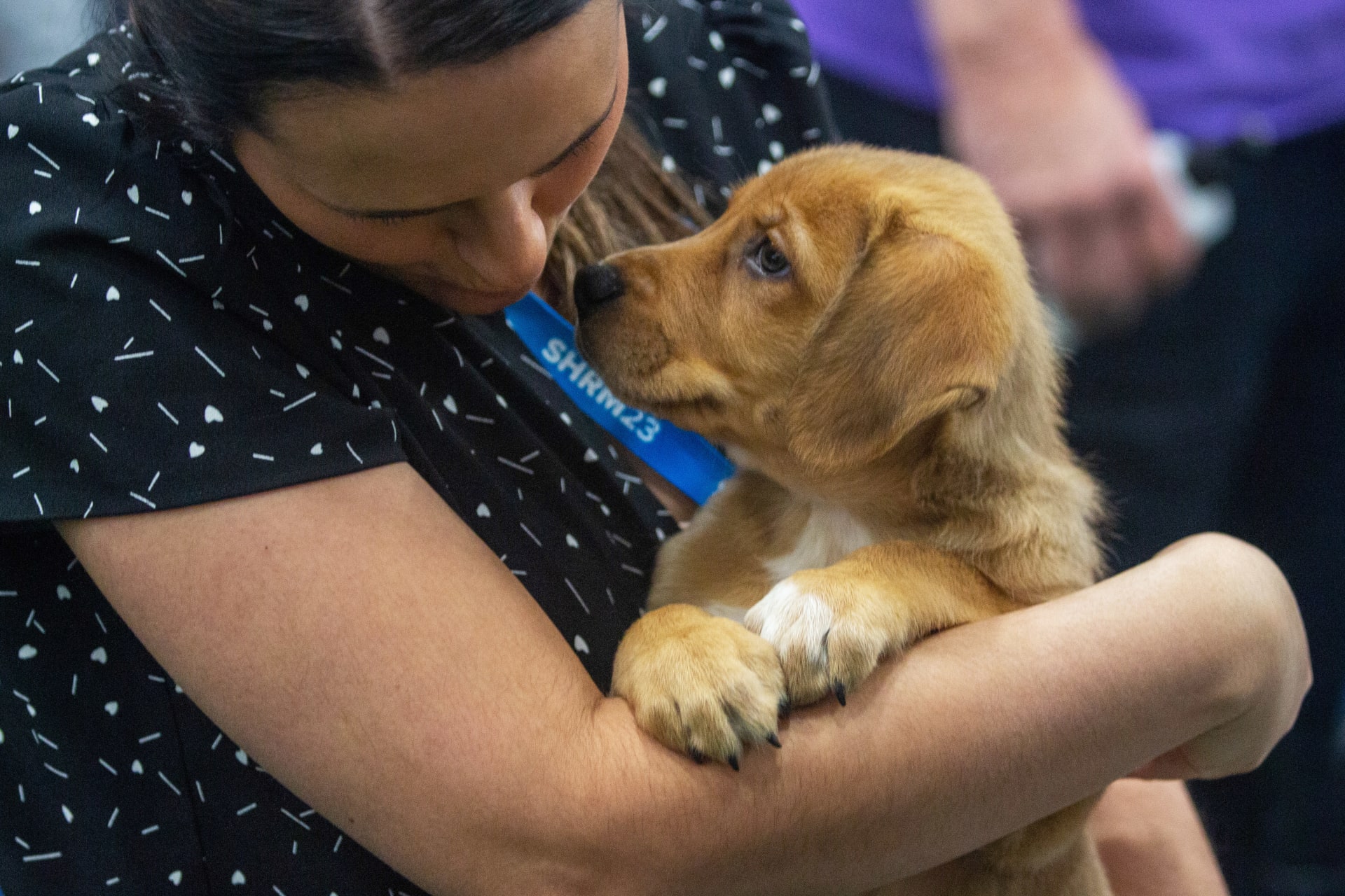 Terese Dragonetti, SHRM-CP, an HR generalist at Biggby Coffee, cuddles Uno. (Mauro Whiteman/SHRM)